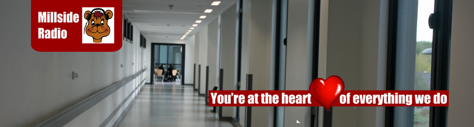 header1.jpg